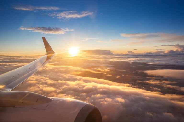 Can You Bring CBD Oil on Domestic Flights?: Clear Skies Ahead