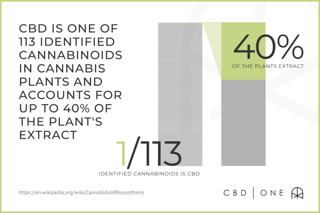 CBD is one of 113 identified cannabinoids in cannabis plants and accounts for up to 40% of the plant's extract